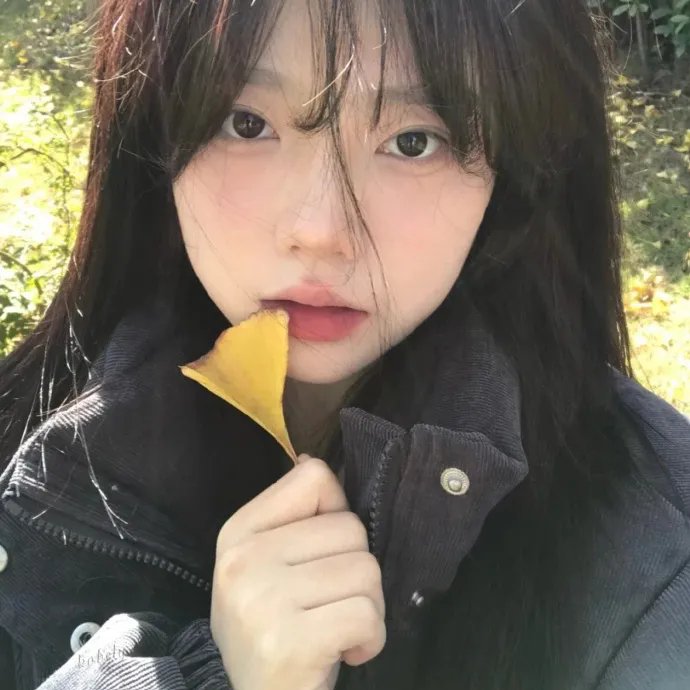 情陷亚维农